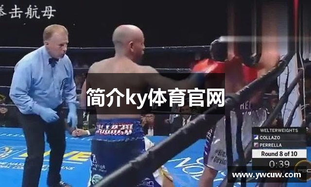 简介ky体育官网